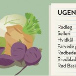 køff uge 13