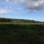 Photo 29-08-12 16.25.42