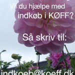 Billede 06-07-14 02.04.48
