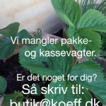 Billede 06-07-14 02.08.04