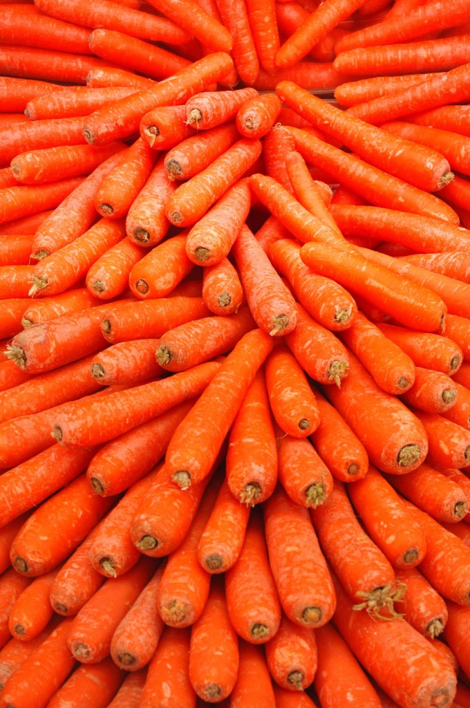 Carottes